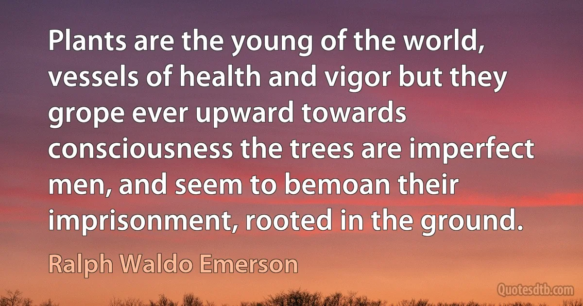 Plants are the young of the world, vessels of health and vigor but they grope ever upward towards consciousness the trees are imperfect men, and seem to bemoan their imprisonment, rooted in the ground. (Ralph Waldo Emerson)