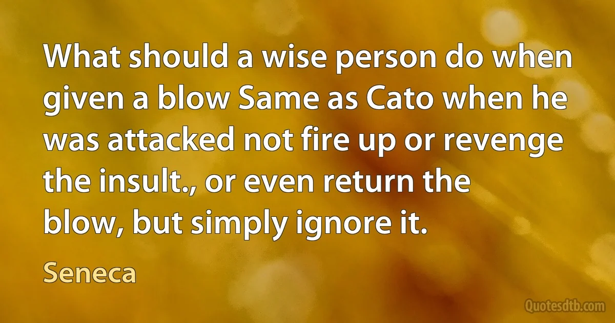 What should a wise person do when given a blow Same as Cato when he was attacked not fire up or revenge the insult., or even return the blow, but simply ignore it. (Seneca)