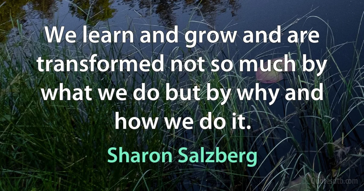 We learn and grow and are transformed not so much by what we do but by why and how we do it. (Sharon Salzberg)