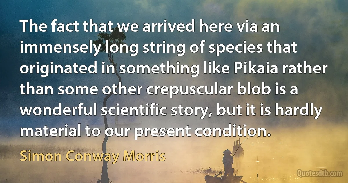 The fact that we arrived here via an immensely long string of species that originated in something like Pikaia rather than some other crepuscular blob is a wonderful scientific story, but it is hardly material to our present condition. (Simon Conway Morris)