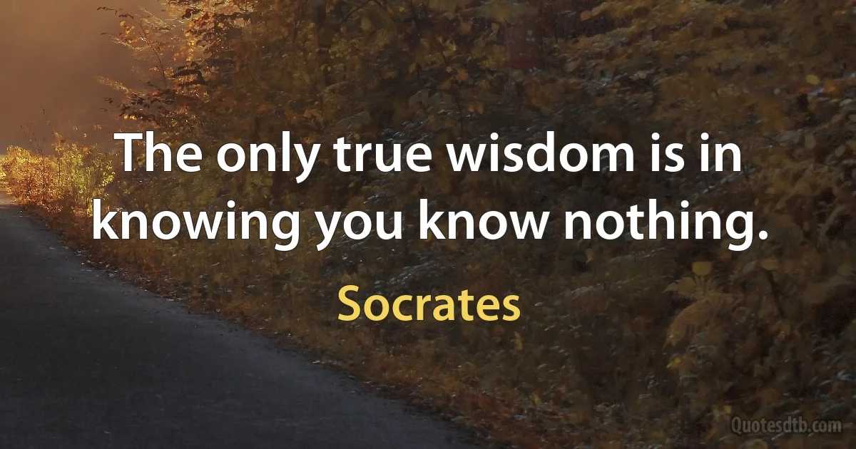 The only true wisdom is in knowing you know nothing. (Socrates)