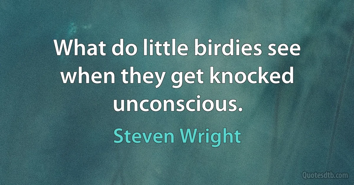 What do little birdies see when they get knocked unconscious. (Steven Wright)