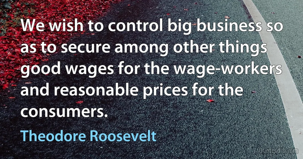 We wish to control big business so as to secure among other things good wages for the wage-workers and reasonable prices for the consumers. (Theodore Roosevelt)