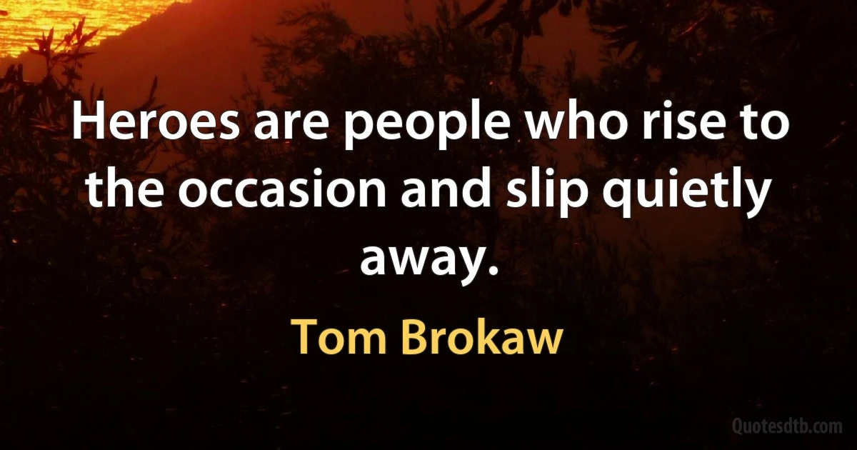 Heroes are people who rise to the occasion and slip quietly away. (Tom Brokaw)