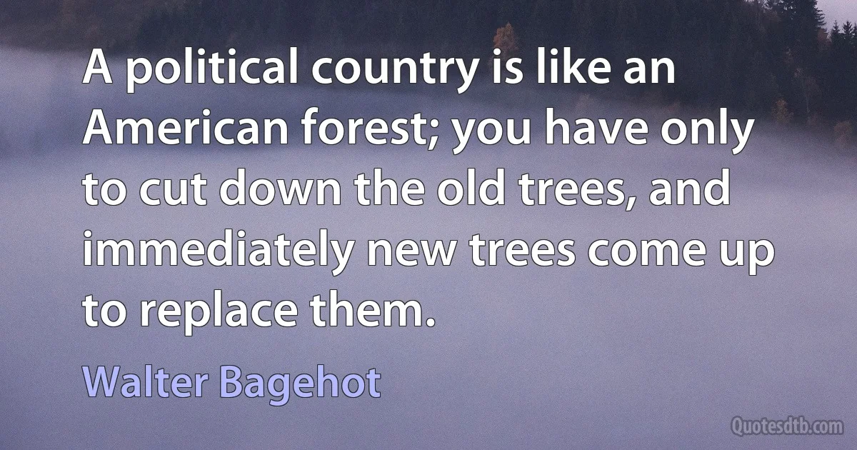 A political country is like an American forest; you have only to cut down the old trees, and immediately new trees come up to replace them. (Walter Bagehot)