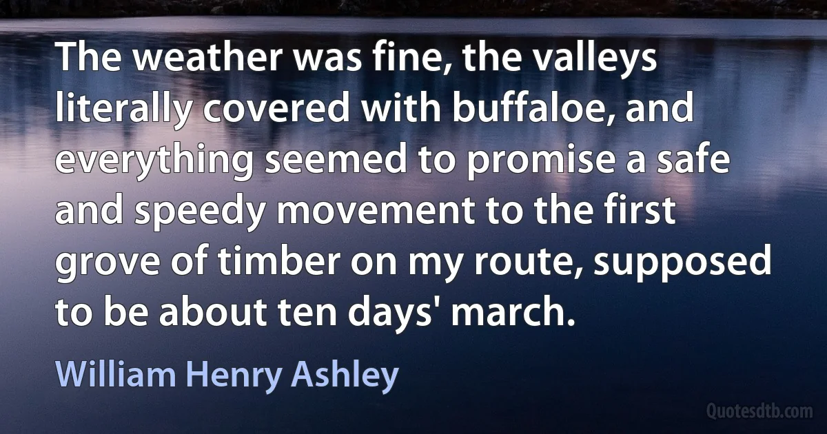 The weather was fine, the valleys literally covered with buffaloe, and everything seemed to promise a safe and speedy movement to the first grove of timber on my route, supposed to be about ten days' march. (William Henry Ashley)