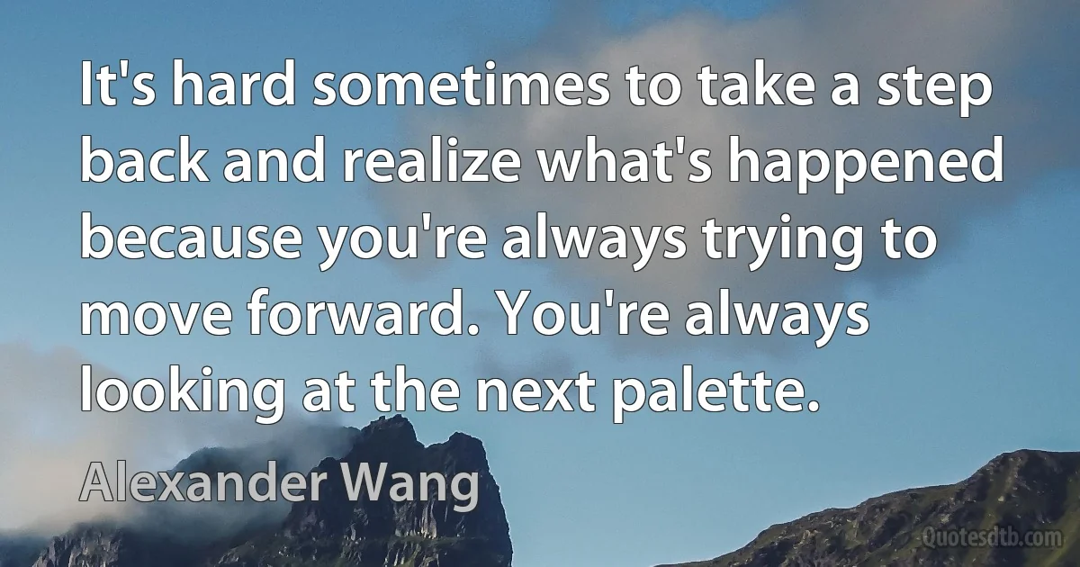 It's hard sometimes to take a step back and realize what's happened because you're always trying to move forward. You're always looking at the next palette. (Alexander Wang)