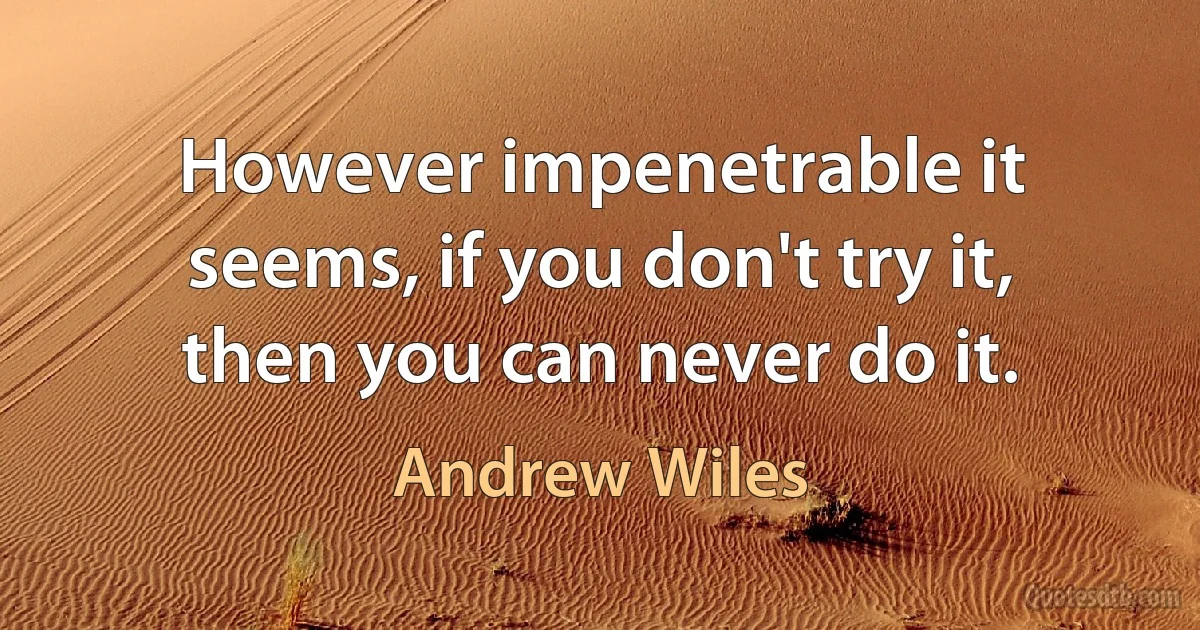 However impenetrable it seems, if you don't try it, then you can never do it. (Andrew Wiles)