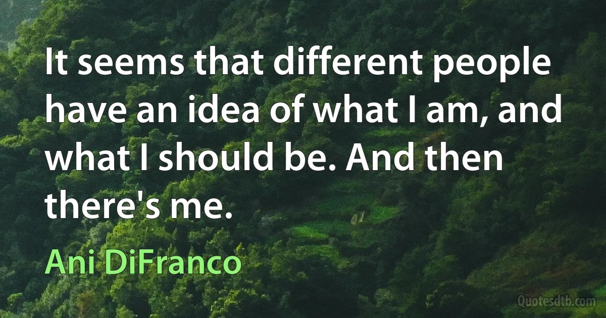 It seems that different people have an idea of what I am, and what I should be. And then there's me. (Ani DiFranco)