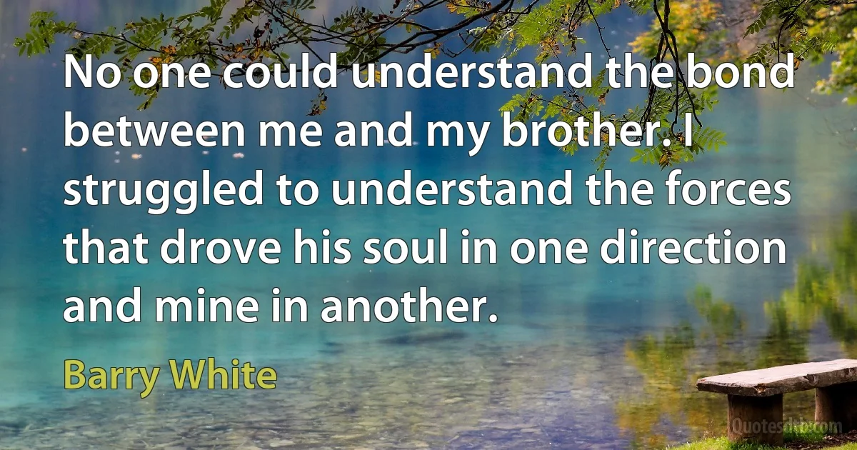 No one could understand the bond between me and my brother. I struggled to understand the forces that drove his soul in one direction and mine in another. (Barry White)