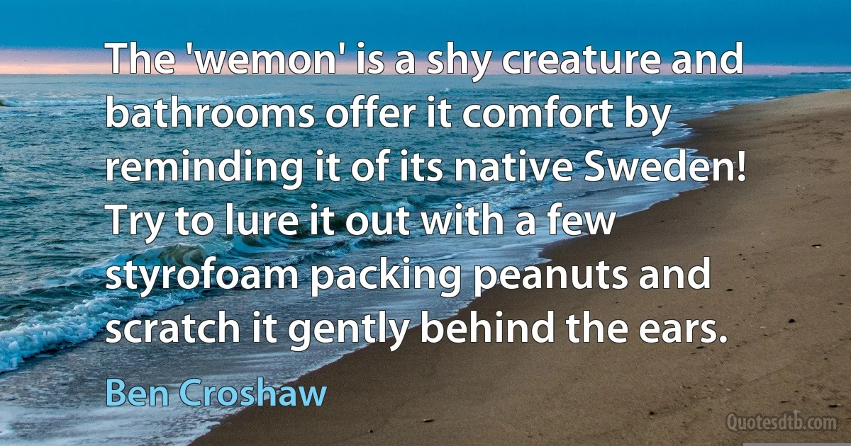 The 'wemon' is a shy creature and bathrooms offer it comfort by reminding it of its native Sweden! Try to lure it out with a few styrofoam packing peanuts and scratch it gently behind the ears. (Ben Croshaw)