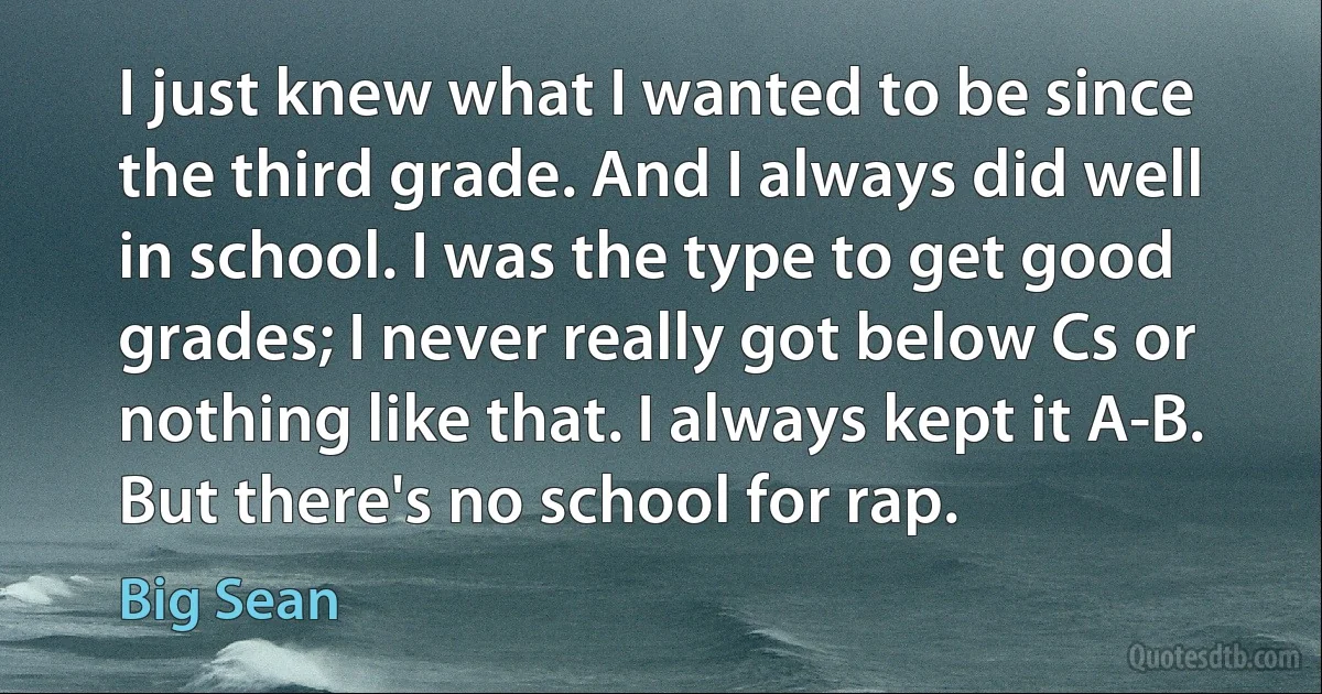 I just knew what I wanted to be since the third grade. And I always did well in school. I was the type to get good grades; I never really got below Cs or nothing like that. I always kept it A-B. But there's no school for rap. (Big Sean)