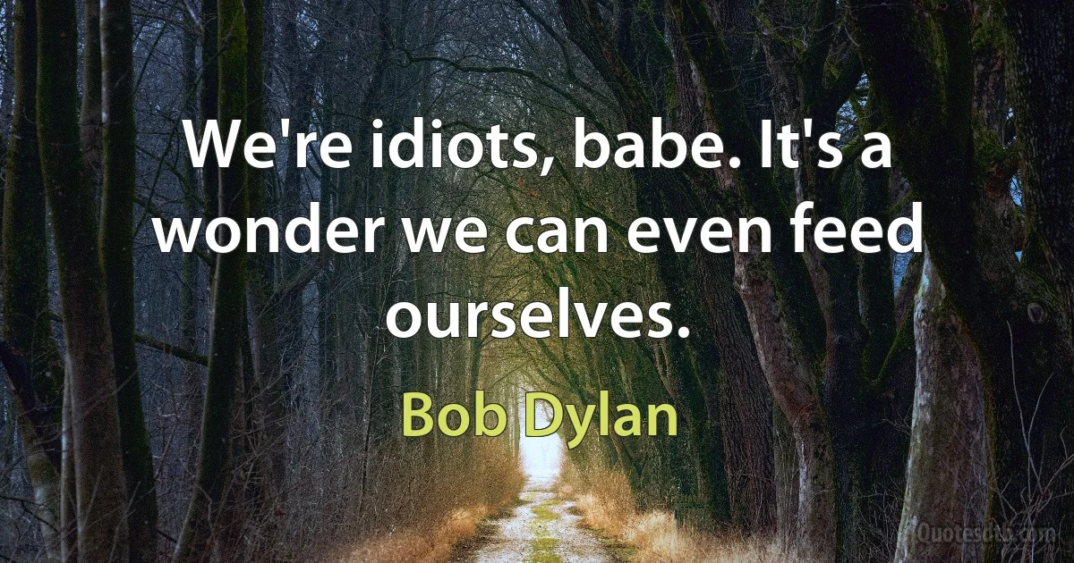 We're idiots, babe. It's a wonder we can even feed ourselves. (Bob Dylan)