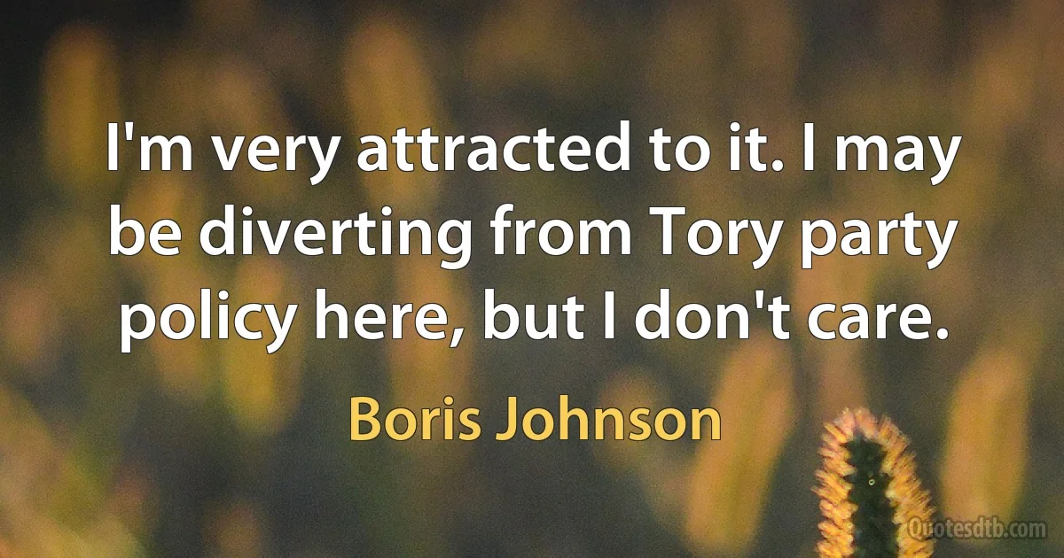 I'm very attracted to it. I may be diverting from Tory party policy here, but I don't care. (Boris Johnson)