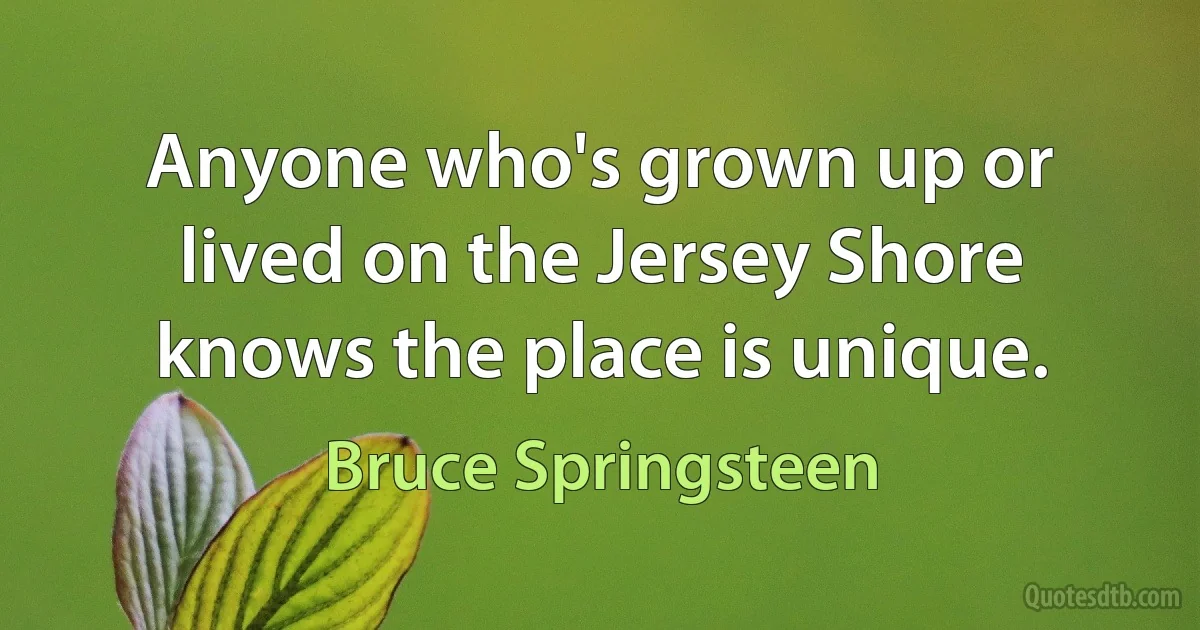 Anyone who's grown up or lived on the Jersey Shore knows the place is unique. (Bruce Springsteen)