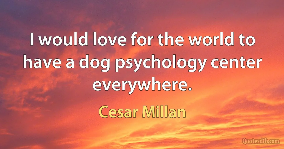 I would love for the world to have a dog psychology center everywhere. (Cesar Millan)