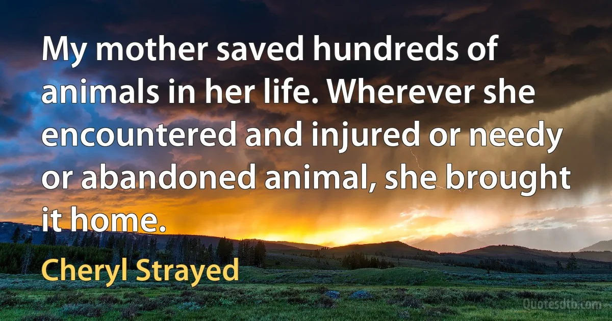 My mother saved hundreds of animals in her life. Wherever she encountered and injured or needy or abandoned animal, she brought it home. (Cheryl Strayed)