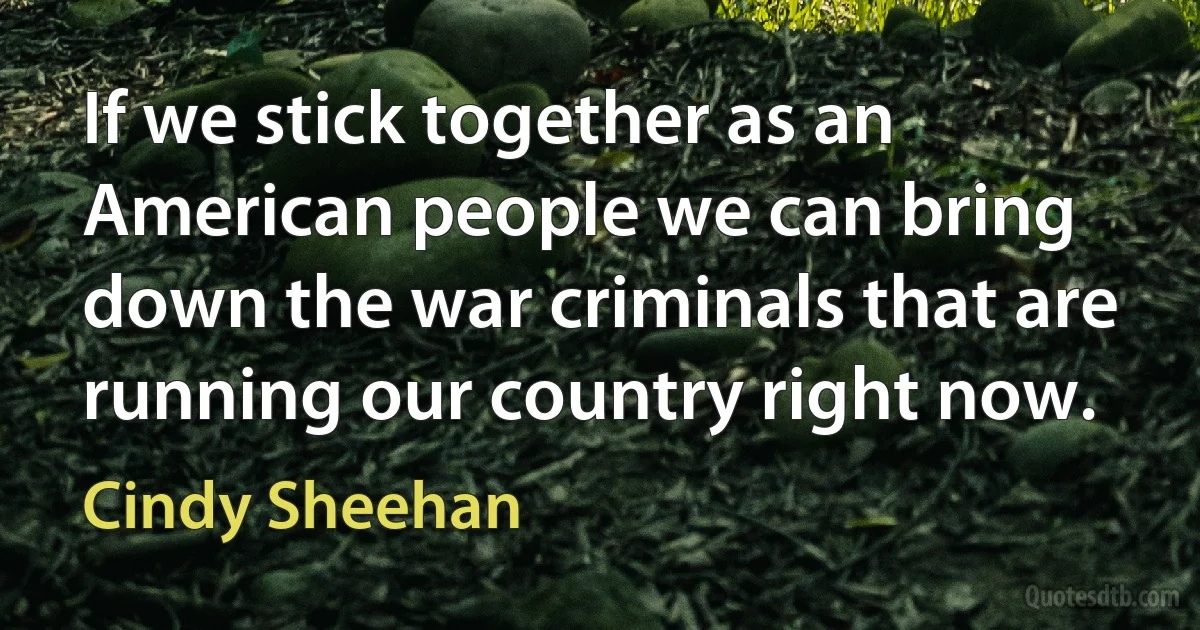 If we stick together as an American people we can bring down the war criminals that are running our country right now. (Cindy Sheehan)