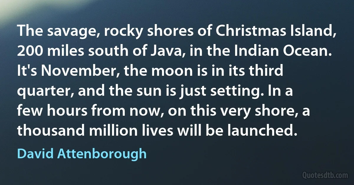 The savage, rocky shores of Christmas Island, 200 miles south of Java, in the Indian Ocean. It's November, the moon is in its third quarter, and the sun is just setting. In a few hours from now, on this very shore, a thousand million lives will be launched. (David Attenborough)