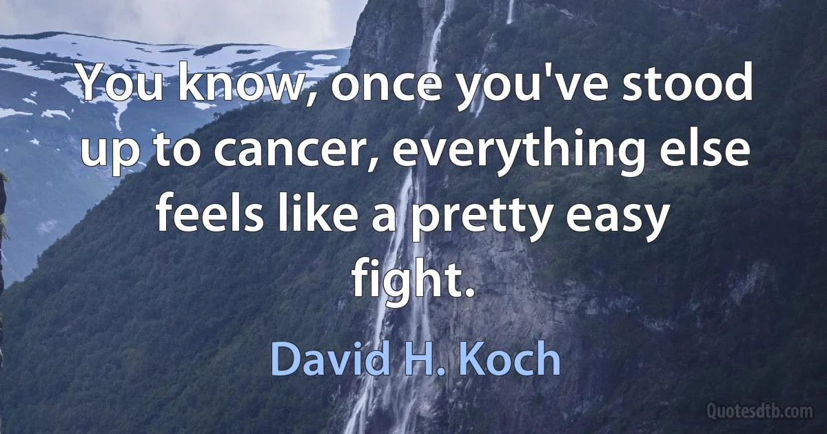 You know, once you've stood up to cancer, everything else feels like a pretty easy fight. (David H. Koch)