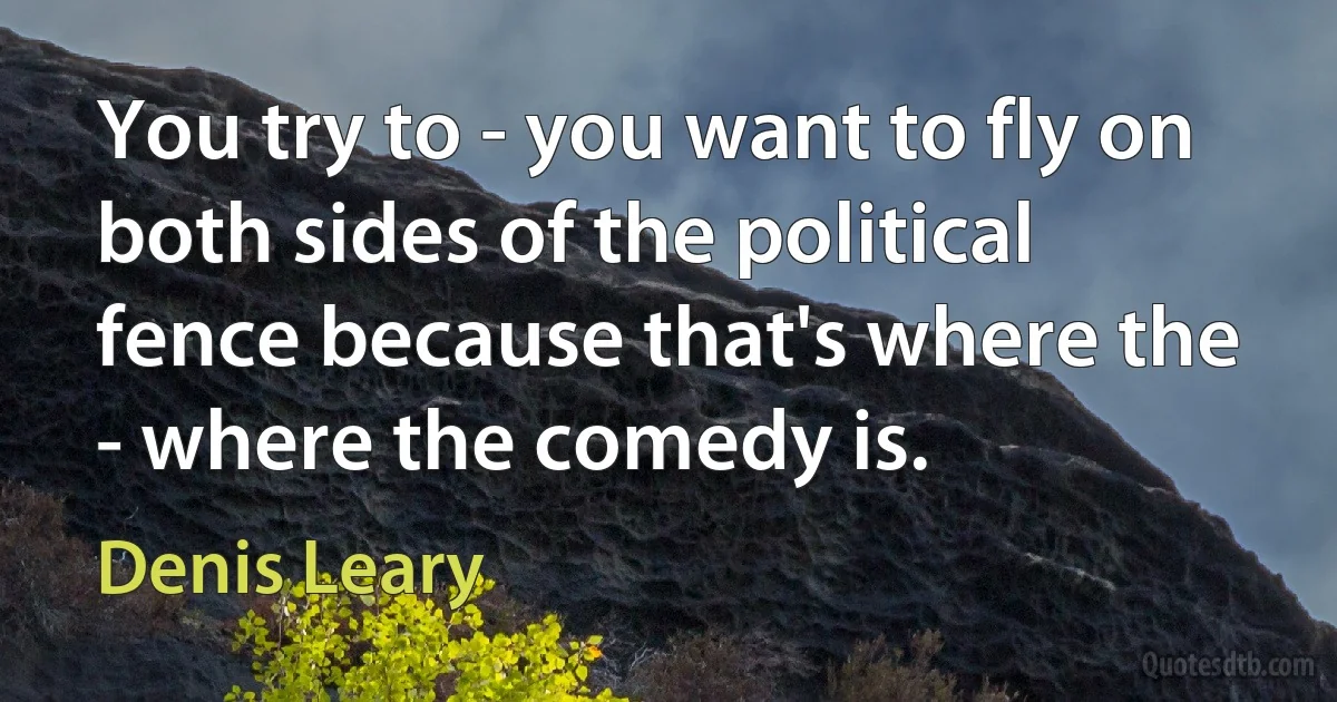 You try to - you want to fly on both sides of the political fence because that's where the - where the comedy is. (Denis Leary)