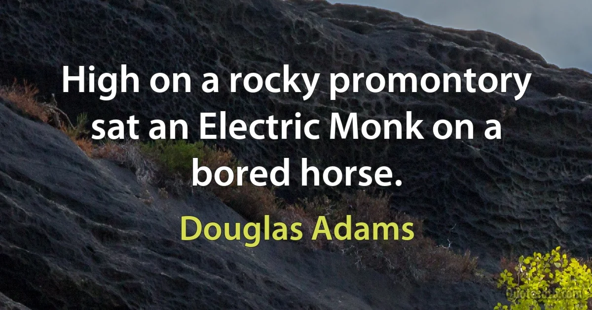 High on a rocky promontory sat an Electric Monk on a bored horse. (Douglas Adams)