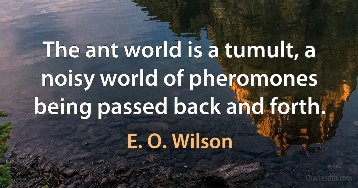 The ant world is a tumult, a noisy world of pheromones being passed back and forth. (E. O. Wilson)