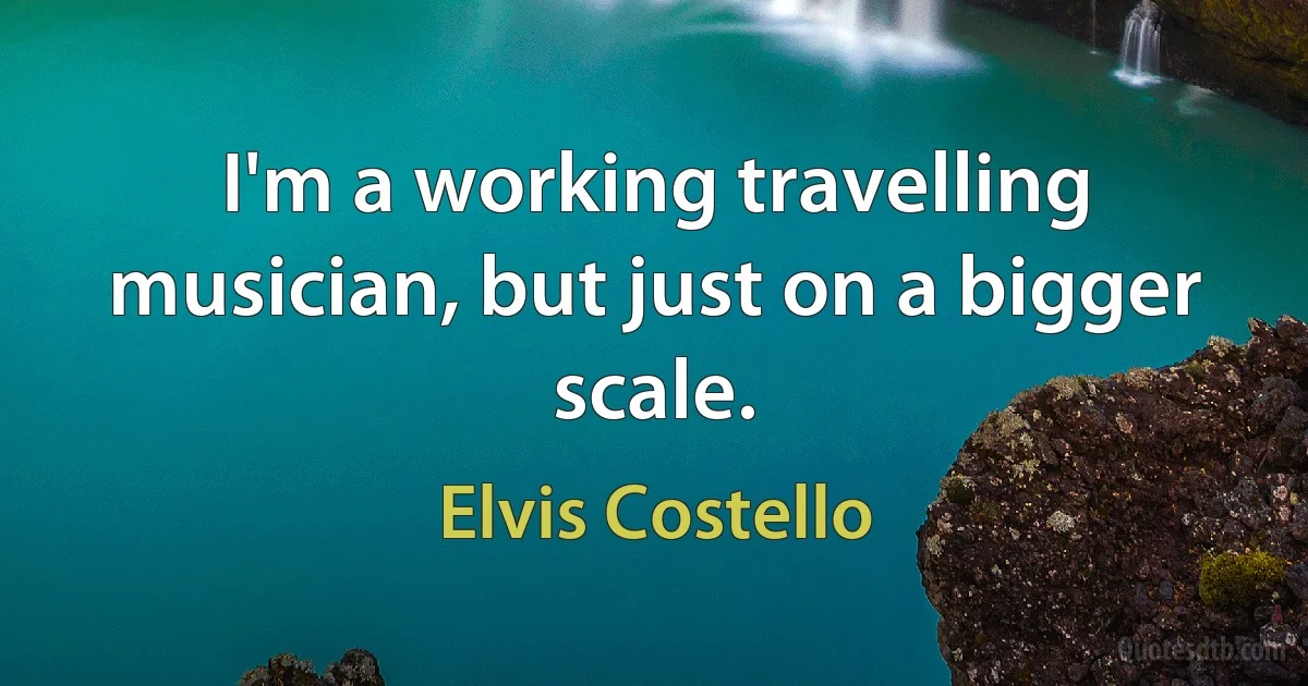 I'm a working travelling musician, but just on a bigger scale. (Elvis Costello)