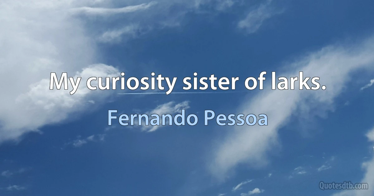 My curiosity sister of larks. (Fernando Pessoa)