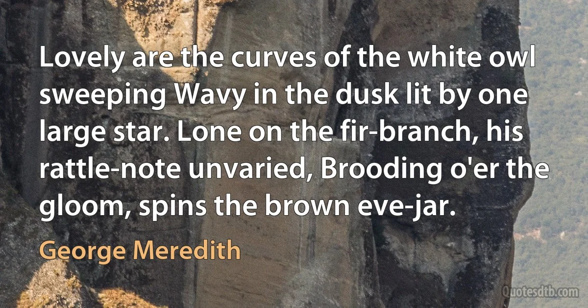 Lovely are the curves of the white owl sweeping Wavy in the dusk lit by one large star. Lone on the fir-branch, his rattle-note unvaried, Brooding o'er the gloom, spins the brown eve-jar. (George Meredith)