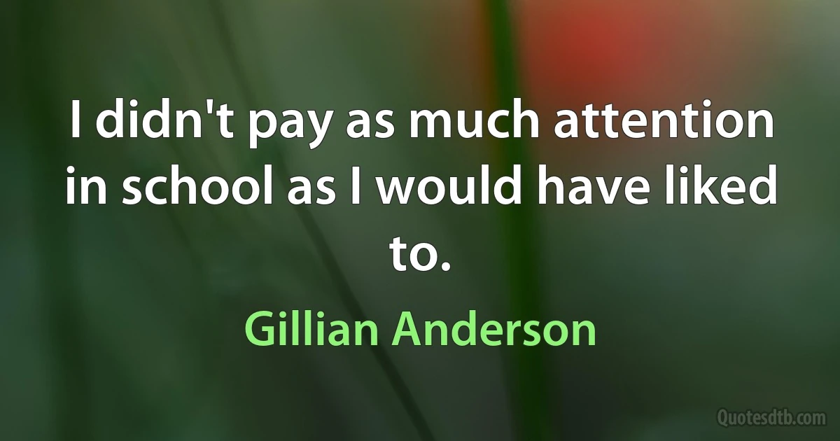 I didn't pay as much attention in school as I would have liked to. (Gillian Anderson)