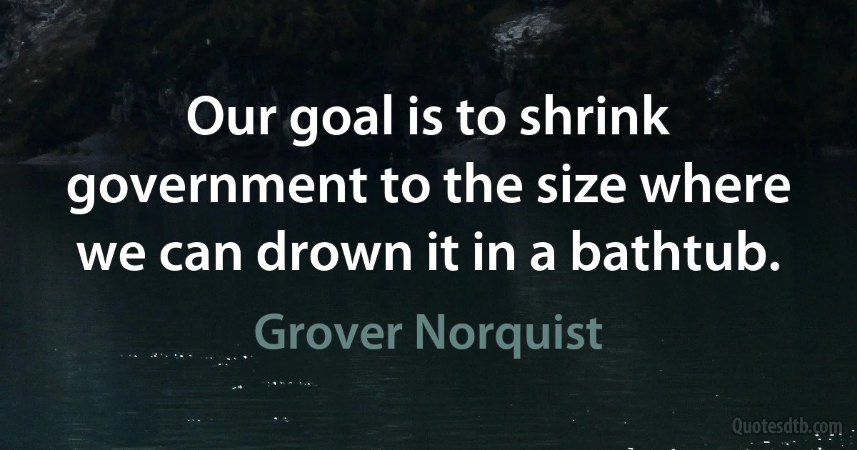 Our goal is to shrink government to the size where we can drown it in a bathtub. (Grover Norquist)