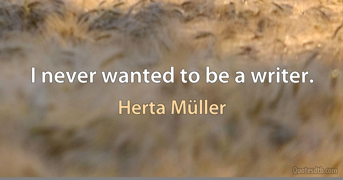 I never wanted to be a writer. (Herta Müller)