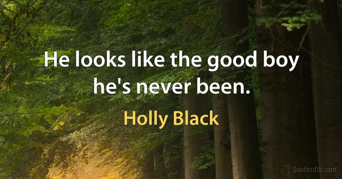 He looks like the good boy he's never been. (Holly Black)