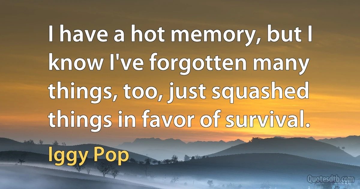 I have a hot memory, but I know I've forgotten many things, too, just squashed things in favor of survival. (Iggy Pop)