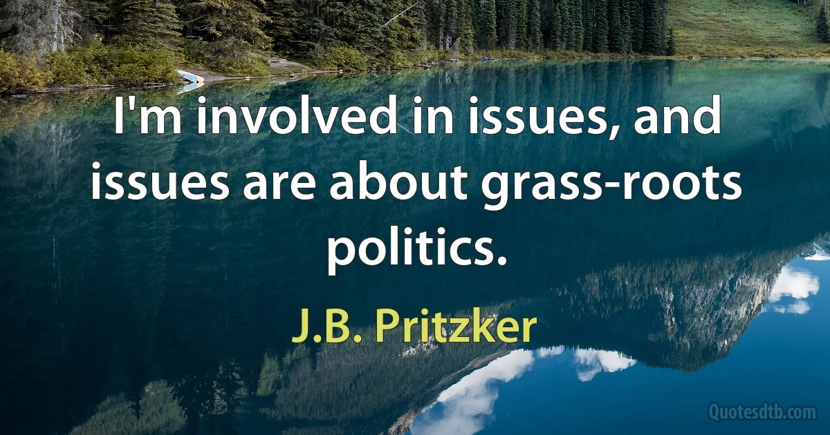 I'm involved in issues, and issues are about grass-roots politics. (J.B. Pritzker)