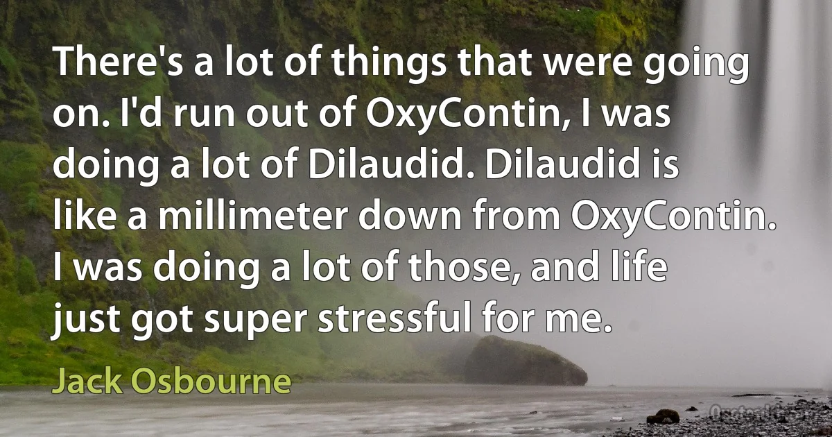 There's a lot of things that were going on. I'd run out of OxyContin, I was doing a lot of Dilaudid. Dilaudid is like a millimeter down from OxyContin. I was doing a lot of those, and life just got super stressful for me. (Jack Osbourne)