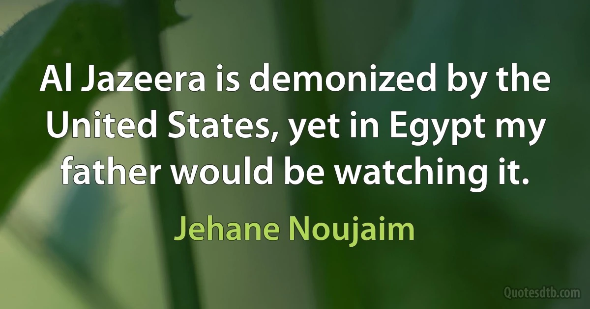 Al Jazeera is demonized by the United States, yet in Egypt my father would be watching it. (Jehane Noujaim)