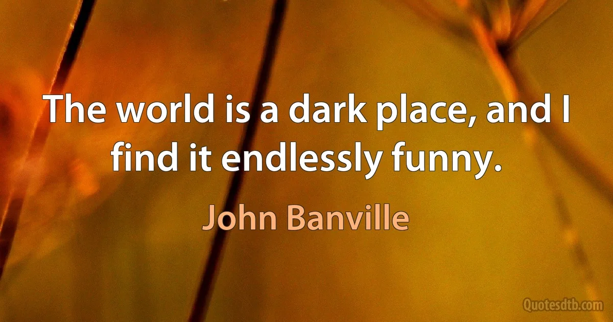 The world is a dark place, and I find it endlessly funny. (John Banville)