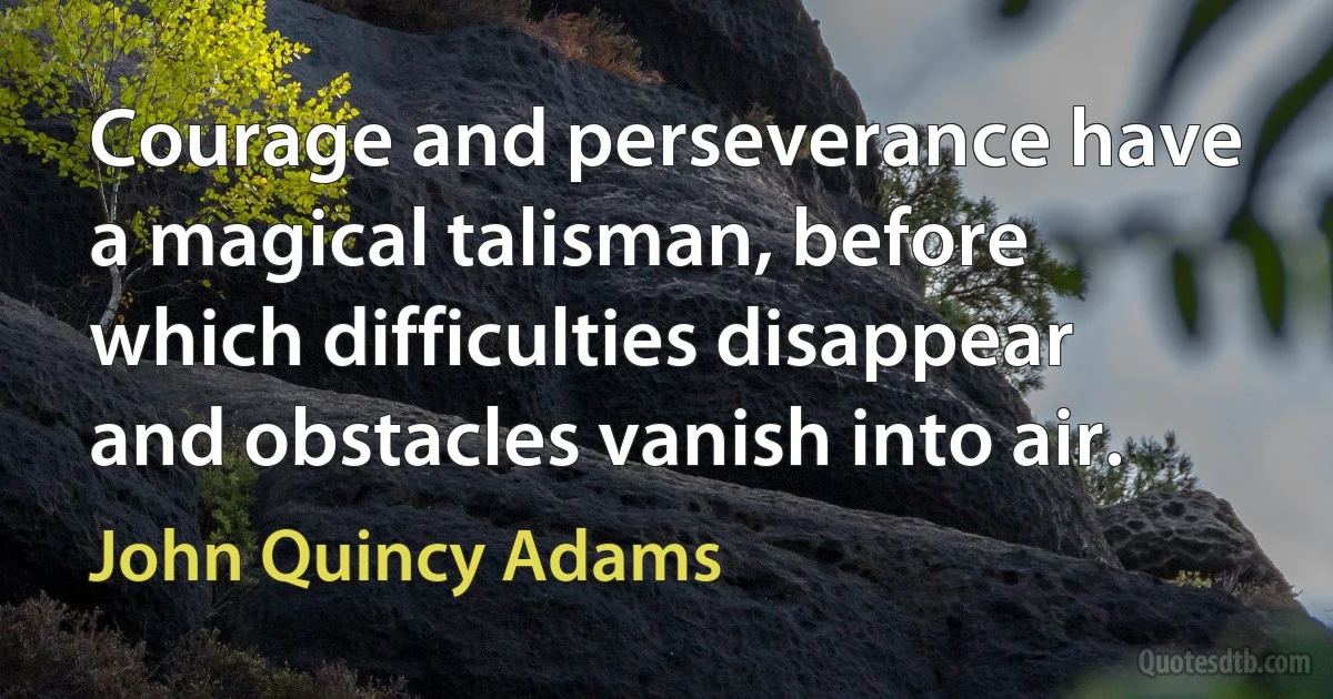 Courage and perseverance have a magical talisman, before which difficulties disappear and obstacles vanish into air. (John Quincy Adams)