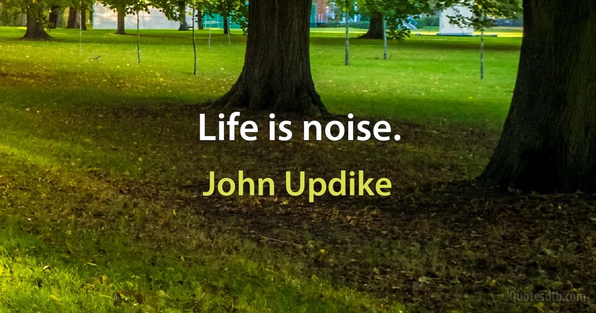 Life is noise. (John Updike)