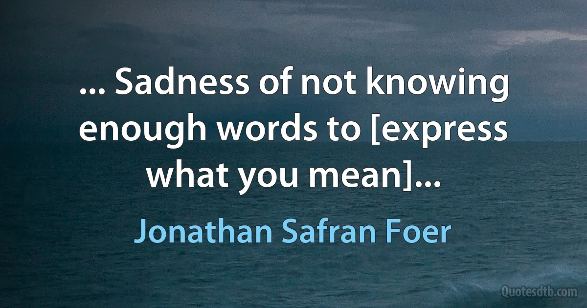 ... Sadness of not knowing enough words to [express what you mean]... (Jonathan Safran Foer)