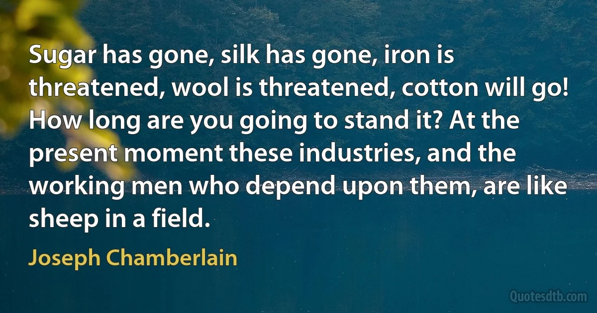 Sugar has gone, silk has gone, iron is threatened, wool is threatened, cotton will go! How long are you going to stand it? At the present moment these industries, and the working men who depend upon them, are like sheep in a field. (Joseph Chamberlain)