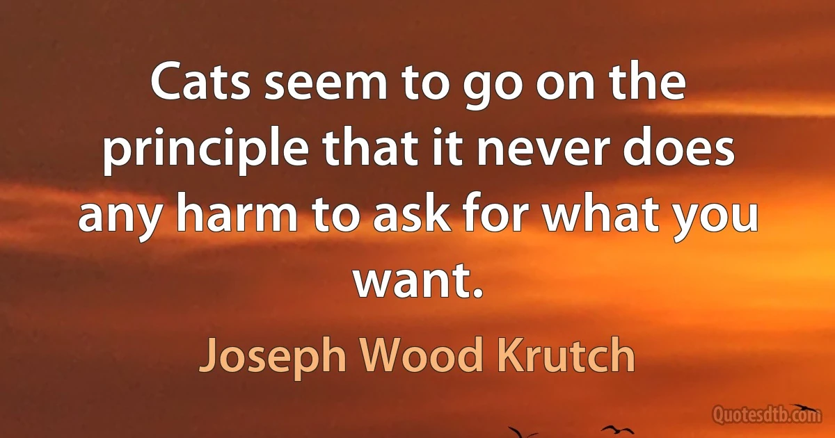 Cats seem to go on the principle that it never does any harm to ask for what you want. (Joseph Wood Krutch)