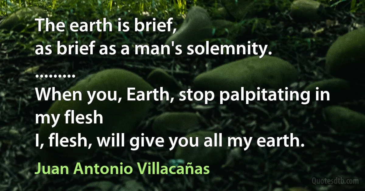 The earth is brief,
as brief as a man's solemnity.
.........
When you, Earth, stop palpitating in my flesh
I, flesh, will give you all my earth. (Juan Antonio Villacañas)