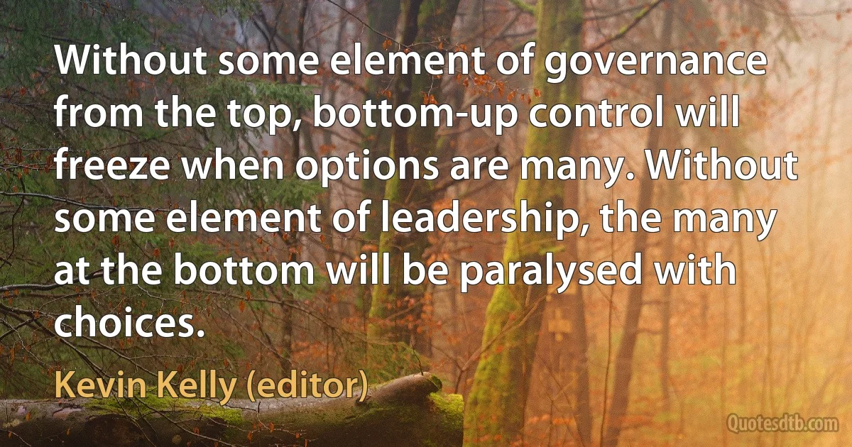 Without some element of governance from the top, bottom-up control will freeze when options are many. Without some element of leadership, the many at the bottom will be paralysed with choices. (Kevin Kelly (editor))