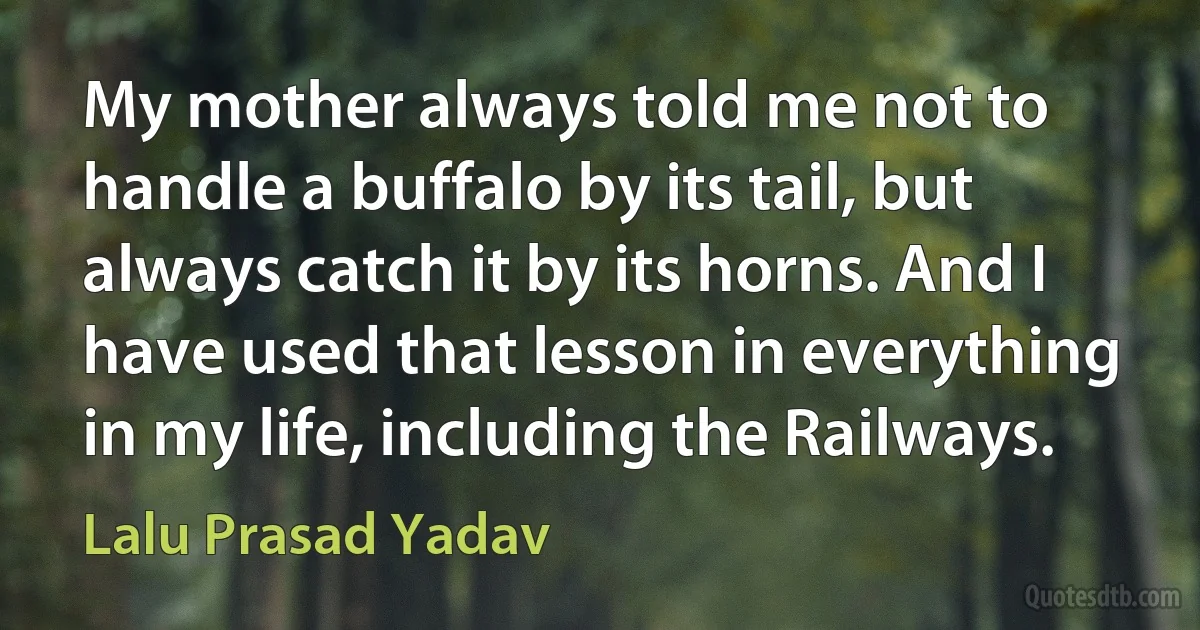 My mother always told me not to handle a buffalo by its tail, but always catch it by its horns. And I have used that lesson in everything in my life, including the Railways. (Lalu Prasad Yadav)