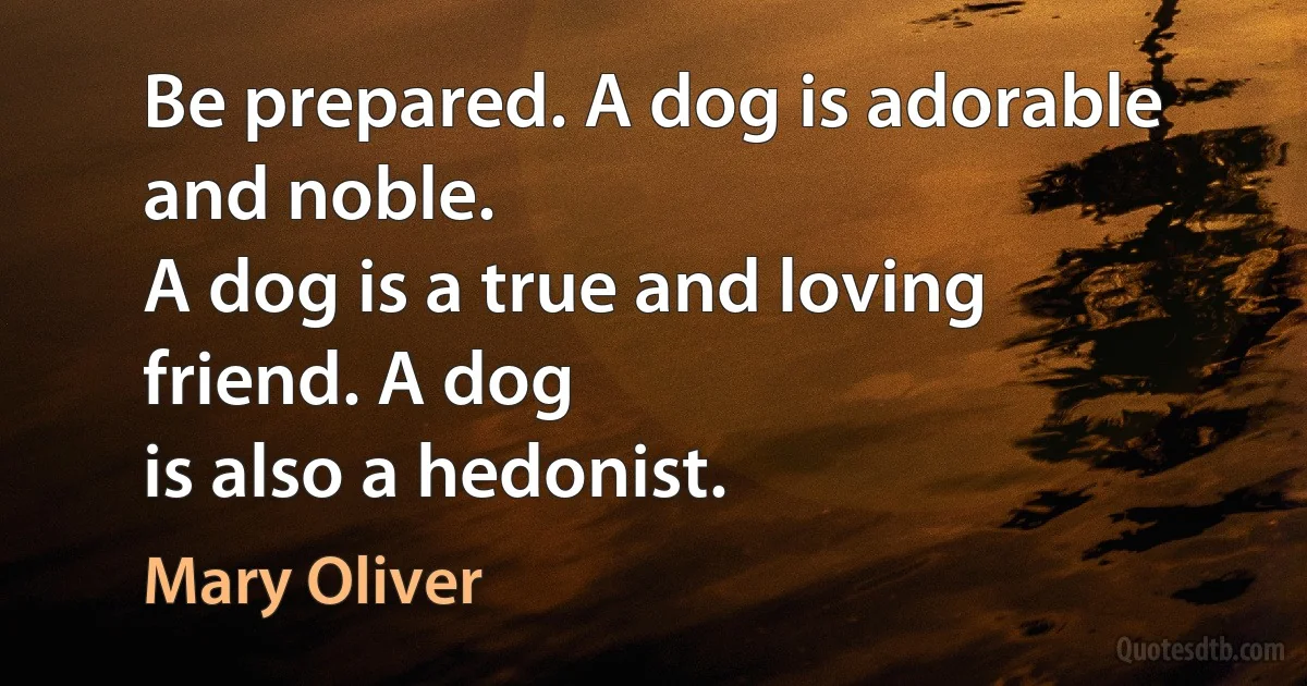 Be prepared. A dog is adorable and noble.
A dog is a true and loving friend. A dog
is also a hedonist. (Mary Oliver)