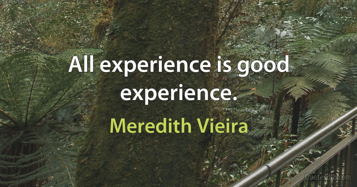 All experience is good experience. (Meredith Vieira)