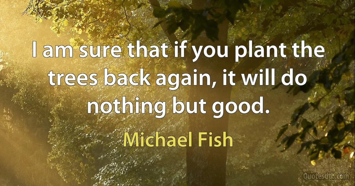 I am sure that if you plant the trees back again, it will do nothing but good. (Michael Fish)